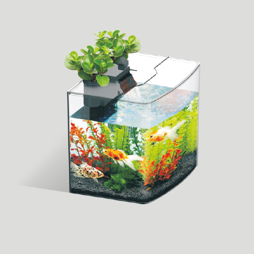 MINI種植魚缸